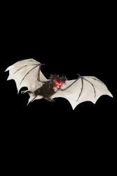 Chauve souris poilus avec yeux led 89cm