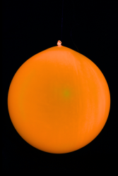 10 ballons géants ronds orange fluo Ø60 cm