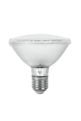 Ampoule PAR-30 10W E27 62 LEDs